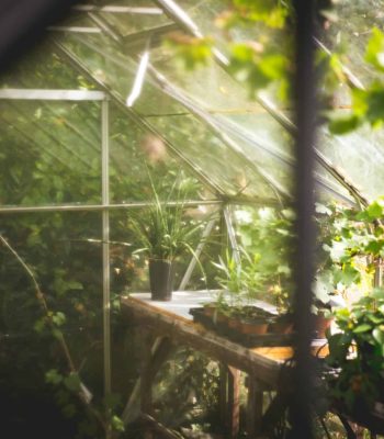 thomas-verbruggen-cVYLIzF6Gh0-unsplash